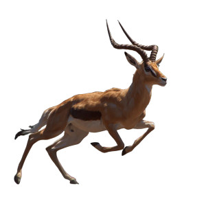 Running Antelope Vinyl Car Decal Sticker – Waterproof & UV-Resistant 