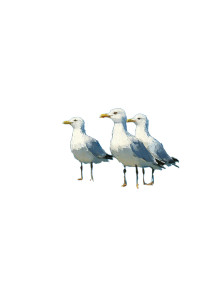 Seagulls On Piers Vinyl Car Decal Sticker – Waterproof & UV-Resistant Seagulls On Piers Vinyl Car Decal Sticker – Waterproof & UV-Resistant