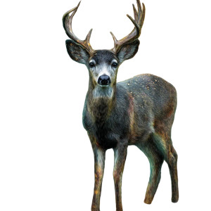 Grunge Deer Portrait Vinyl Car Decal Sticker – Waterproof & UV-Resistant 