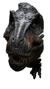 Scarred T Rex Vinyl Car Decal Sticker – Waterproof & UV-Resistant Scarred T Rex Vinyl Car Decal Sticker – Waterproof & UV-Resistant
