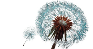 Dandelion Seed Vinyl Car Decal Sticker – Waterproof & UV-Resistant Dandelion Seed Vinyl Car Decal Sticker – Waterproof & UV-Resistant