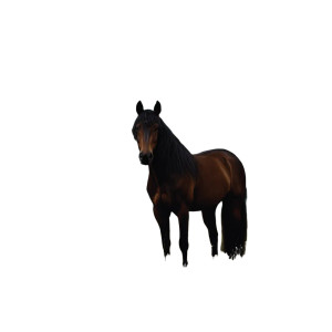 Chestnut Stallion Vinyl Car Decal Sticker – Waterproof & UV-Resistant 