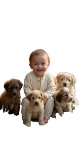 Joyful Baby With Puppies Vinyl Car Decal Sticker – Waterproof & UV-Resistant Joyful Baby With Puppies Vinyl Car Decal Sticker – Waterproof & UV-Resistant