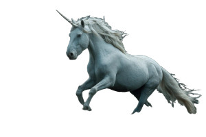 Unicorn Photography Vinyl Car Decal Sticker – Waterproof & UV-Resistant 