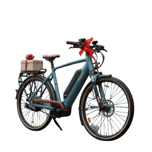 Gift E-Bike Vinyl Car Decal Sticker – Waterproof & UV-Resistant 