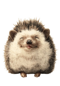 Happy Hedgehog Vinyl Car Decal Sticker – Waterproof & UV-Resistant 