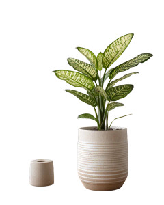 House Plant Care Vinyl Car Decal Sticker – Waterproof & UV-Resistant 