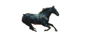 Wild Horse Sunset V2 Vinyl Car Decal Sticker – Waterproof & UV-Resistant 