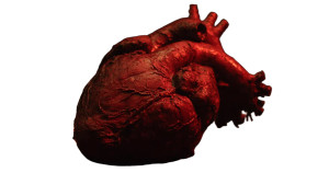 Fiery Human Heart Vinyl Car Decal Sticker – Waterproof & UV-Resistant 