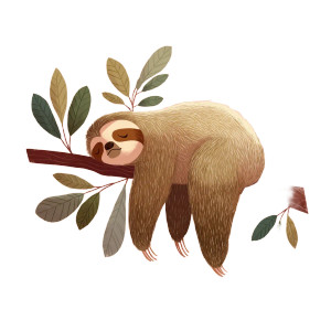 Sleeping Sloth Vinyl Car Decal Sticker – Waterproof & UV-Resistant Sleeping Sloth Vinyl Car Decal Sticker – Waterproof & UV-Resistant