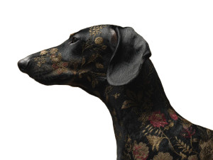 Embroidered Dachshund Vinyl Car Decal Sticker – Waterproof & UV-Resistant Embroidered Dachshund Vinyl Car Decal Sticker – Waterproof & UV-Resistant