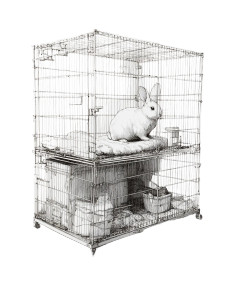 Happy Rabbit V4 Vinyl Car Decal Sticker – Waterproof & UV-Resistant  Happy Rabbit V4 Vinyl Car Decal Sticker – Waterproof & UV-Resistant