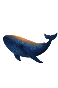 Flying Fantasy Whale Vinyl Car Decal Sticker – Waterproof & UV-Resistant Flying Fantasy Whale Vinyl Car Decal Sticker – Waterproof & UV-Resistant