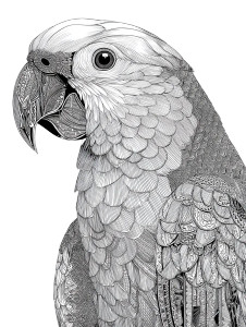 Zentangle Parrot Vinyl Car Decal Sticker – Waterproof & UV-Resistant Zentangle Parrot Vinyl Car Decal Sticker – Waterproof & UV-Resistant
