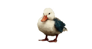 Cute Duck Artist Vinyl Car Decal Sticker – Waterproof & UV-Resistant Cute Duck Artist Vinyl Car Decal Sticker – Waterproof & UV-Resistant