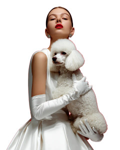 Elegant Fashion Photoshoot V2 Vinyl Car Decal Sticker – Waterproof & UV-Resistant 