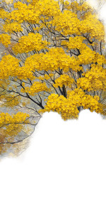 Golden Flower Tree Vinyl Car Decal Sticker – Waterproof & UV-Resistant Golden Flower Tree Vinyl Car Decal Sticker – Waterproof & UV-Resistant