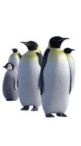 Emperor Penguins Colony Vinyl Car Decal Sticker – Waterproof & UV-Resistant Emperor Penguins Colony Vinyl Car Decal Sticker – Waterproof & UV-Resistant