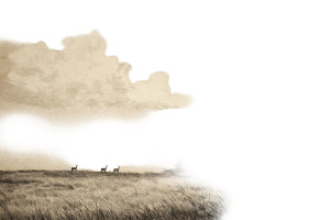 Pastoral Deer Scene Vinyl Car Decal Sticker – Waterproof & UV-Resistant 