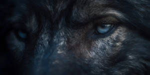 Dark Wolf V2 Vinyl Car Decal Sticker – Waterproof & UV-Resistant 