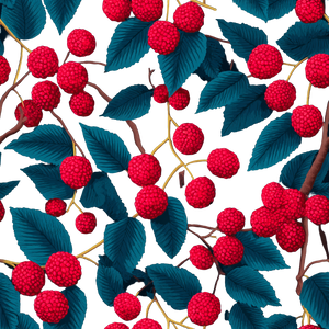 Berry Vinyl Car Decal Sticker – Waterproof & UV-Resistant 