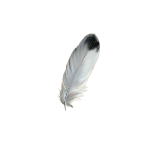 Floating Feather Vinyl Car Decal Sticker – Waterproof & UV-Resistant Floating Feather Vinyl Car Decal Sticker – Waterproof & UV-Resistant