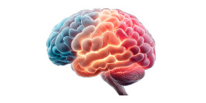 Glowing Brain Memory Vinyl Car Decal Sticker – Waterproof & UV-Resistant 