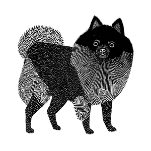 Pomeranian Woodcut Vinyl Car Decal Sticker – Waterproof & UV-Resistant Pomeranian Woodcut Vinyl Car Decal Sticker – Waterproof & UV-Resistant