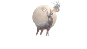 Crystal Antlered Deer Vinyl Car Decal Sticker – Waterproof & UV-Resistant Crystal Antlered Deer Vinyl Car Decal Sticker – Waterproof & UV-Resistant