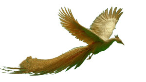 Golden Phoenix Flight Vinyl Car Decal Sticker – Waterproof & UV-Resistant 