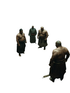 Sumo Wrestling Match Vinyl Car Decal Sticker – Waterproof & UV-Resistant 