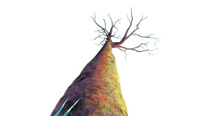 Towering Tree Vinyl Car Decal Sticker – Waterproof & UV-Resistant 