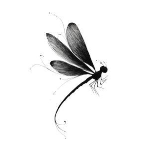 Whimsical Dragonfly Vinyl Car Decal Sticker – Waterproof & UV-Resistant Whimsical Dragonfly Vinyl Car Decal Sticker – Waterproof & UV-Resistant
