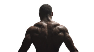 Victorious Warrior V5 Vinyl Car Decal Sticker – Waterproof & UV-Resistant 