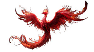 Fiery Phoenix V5 Vinyl Car Decal Sticker – Waterproof & UV-Resistant Fiery Phoenix V5 Vinyl Car Decal Sticker – Waterproof & UV-Resistant