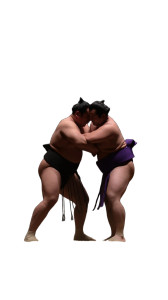 Sumo Wrestlers Fighting Vinyl Car Decal Sticker – Waterproof & UV-Resistant Sumo Wrestlers Fighting Vinyl Car Decal Sticker – Waterproof & UV-Resistant