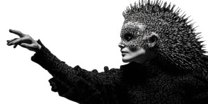 Hedgehog Dance Vinyl Car Decal Sticker – Waterproof & UV-Resistant 