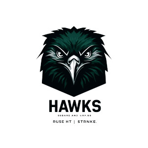 Hawks Team Logo Vinyl Car Decal Sticker – Waterproof & UV-Resistant 