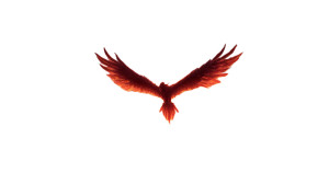 Fiery Phoenix Hovering Vinyl Car Decal Sticker – Waterproof & UV-Resistant Fiery Phoenix Hovering Vinyl Car Decal Sticker – Waterproof & UV-Resistant