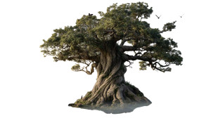 Yggdrasil World Tree V2 Vinyl Car Decal Sticker – Waterproof & UV-Resistant 