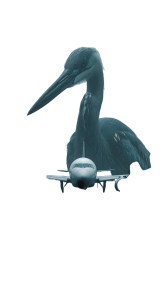 Giant Bird On Runway Vinyl Car Decal Sticker – Waterproof & UV-Resistant 
