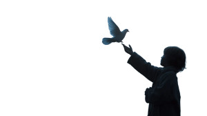 Glowing Bird Release V2 Vinyl Car Decal Sticker – Waterproof & UV-Resistant 