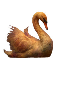Golden Swan Vinyl Car Decal Sticker – Waterproof & UV-Resistant Golden Swan Vinyl Car Decal Sticker – Waterproof & UV-Resistant