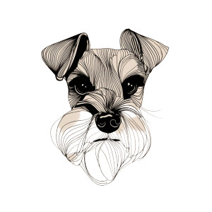 Mini Schnauzer Face Vinyl Car Decal Sticker – Waterproof & UV-Resistant 