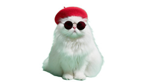 Fashionable Persian Cat Vinyl Car Decal Sticker – Waterproof & UV-Resistant 