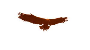 Animatronic Eagle Vinyl Car Decal Sticker – Waterproof & UV-Resistant Animatronic Eagle Vinyl Car Decal Sticker – Waterproof & UV-Resistant