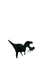 Velociraptors Stalking Vinyl Car Decal Sticker – Waterproof & UV-Resistant 