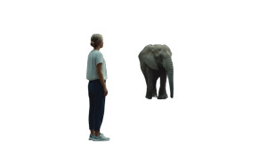 Elephant Encounter Vinyl Car Decal Sticker – Waterproof & UV-Resistant Elephant Encounter Vinyl Car Decal Sticker – Waterproof & UV-Resistant
