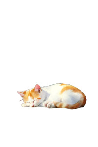 Sleeping Kitten V2 Vinyl Car Decal Sticker – Waterproof & UV-Resistant 