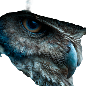 Evil Owl Soldier Vinyl Car Decal Sticker – Waterproof & UV-Resistant 